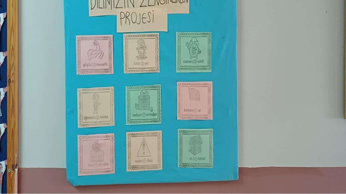 Dilimizin Zenginlikleri Projesi